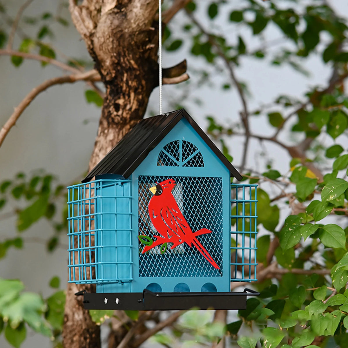 Wrought Iron Hanging Bird Feeder With Squirrel Proof Suet Cage