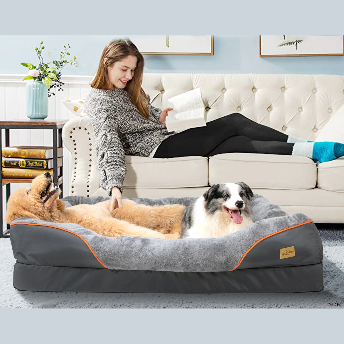 Bingopaw Premium Dog Bed With Removable Washable Cover