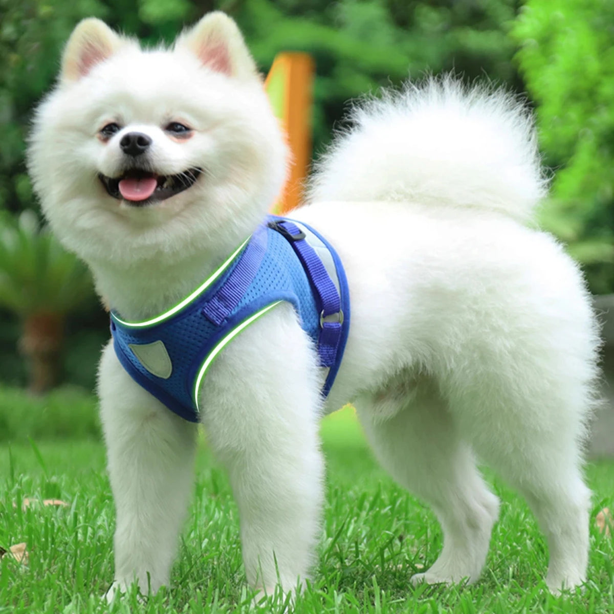 Reflective Adjustable Pet Dog And Cat Harness With Leash Set