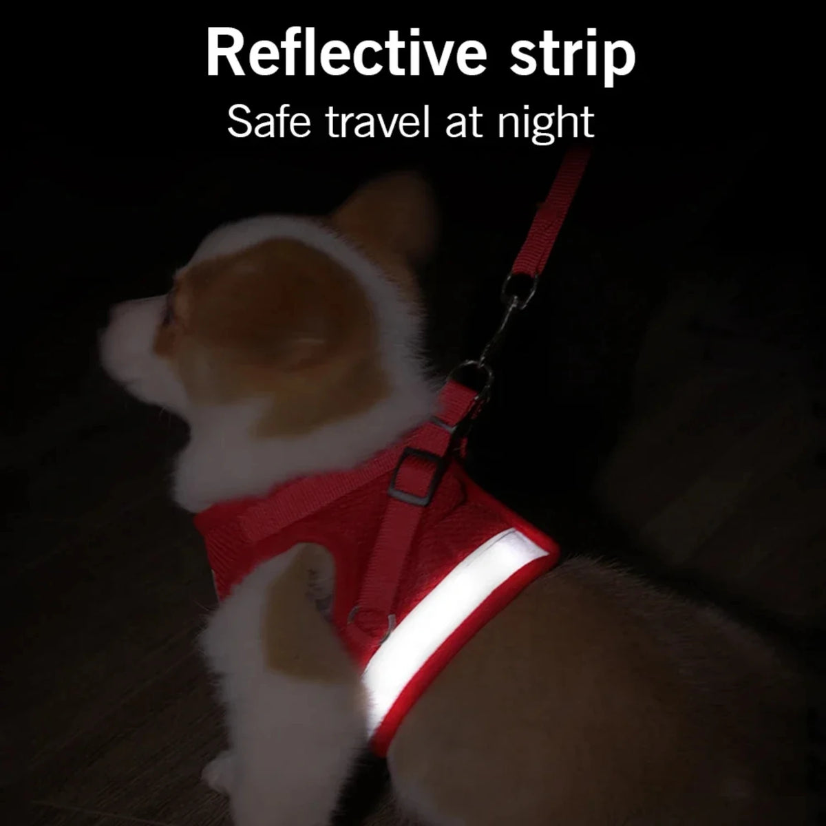 Reflective Adjustable Pet Dog And Cat Harness With Leash Set