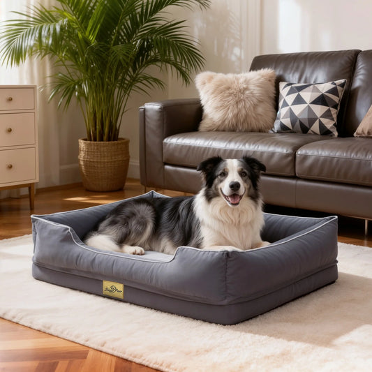 Bingopaw Rectangular Orthopedic Dog Sofa Bed With Removable Washable Cover