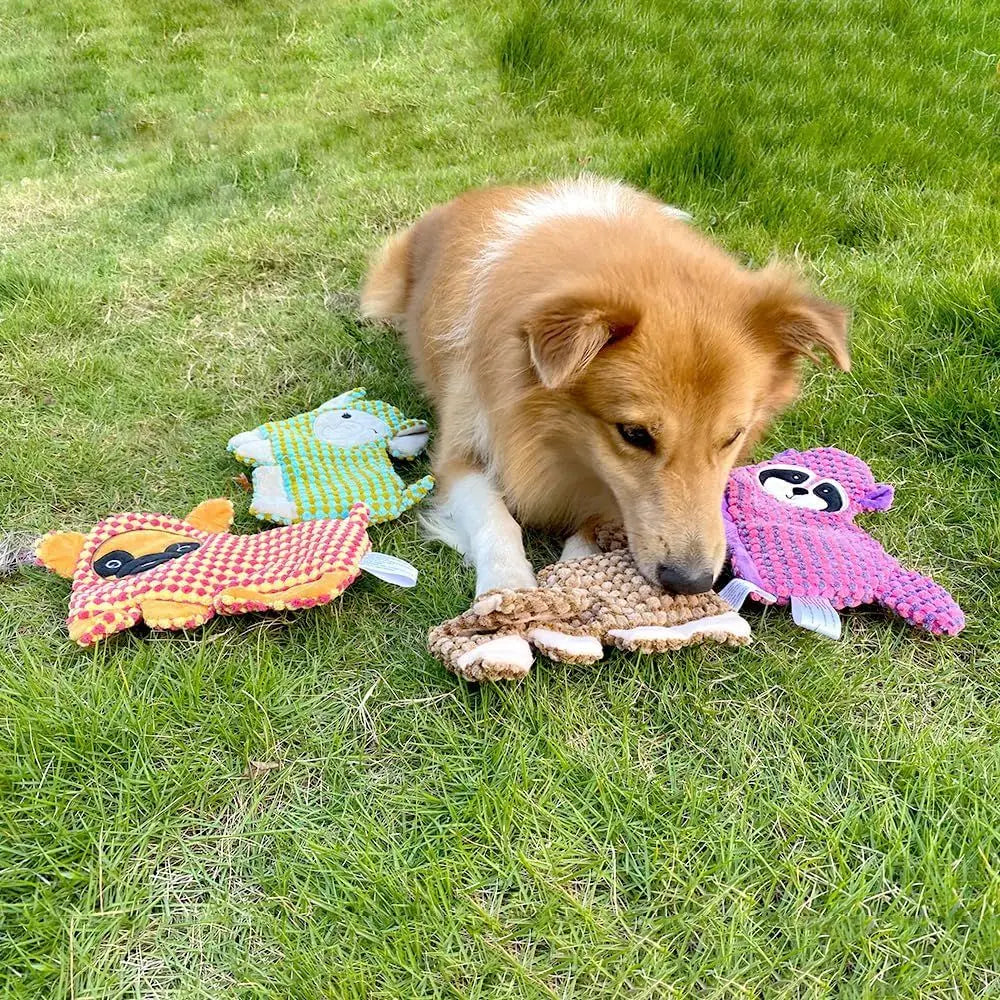 No Stuffing Dog Toy With Squeaker And Crinkle Paper