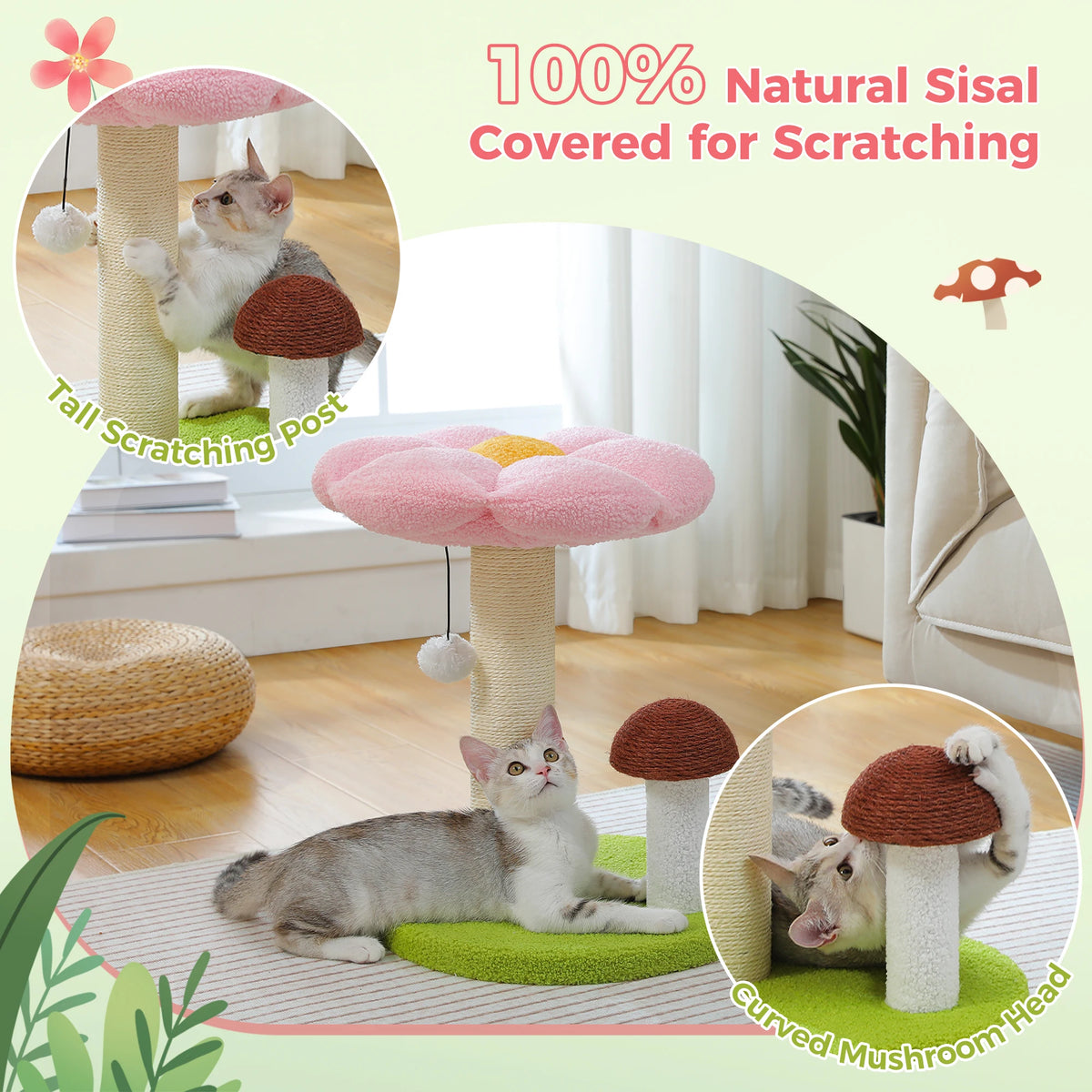 Pawz Road Cat Scratching Post With Flower Bed And Toy
