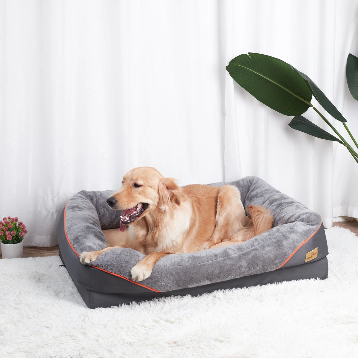 Bingopaw Premium Dog Bed With Removable Washable Cover