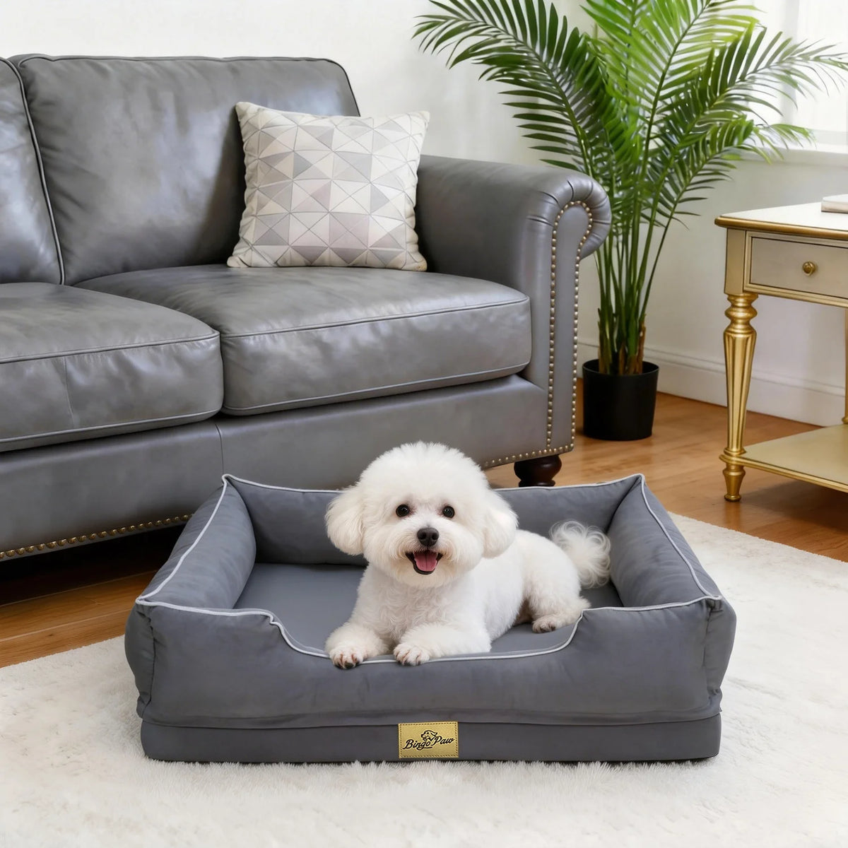 Bingopaw Orthopedic Dog Bed With Removable Washable Cover And Foam Bolsters